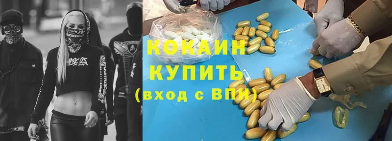 как найти   Малая Вишера  mega ссылка  Cocaine Fish Scale 